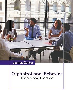 Organizational Behavior: Theory and Practice
