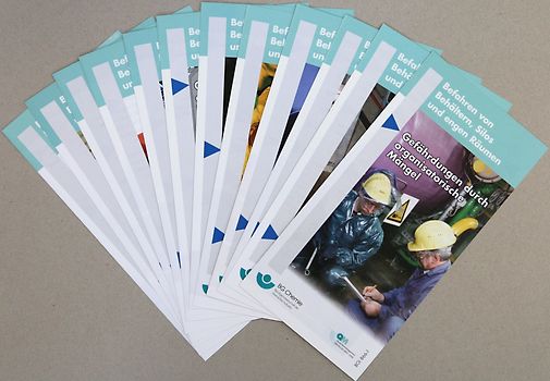 BGR 117 Flyer Set, BGI 866-1 bis BGI 866-13