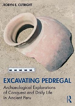 Excavating Pedregal