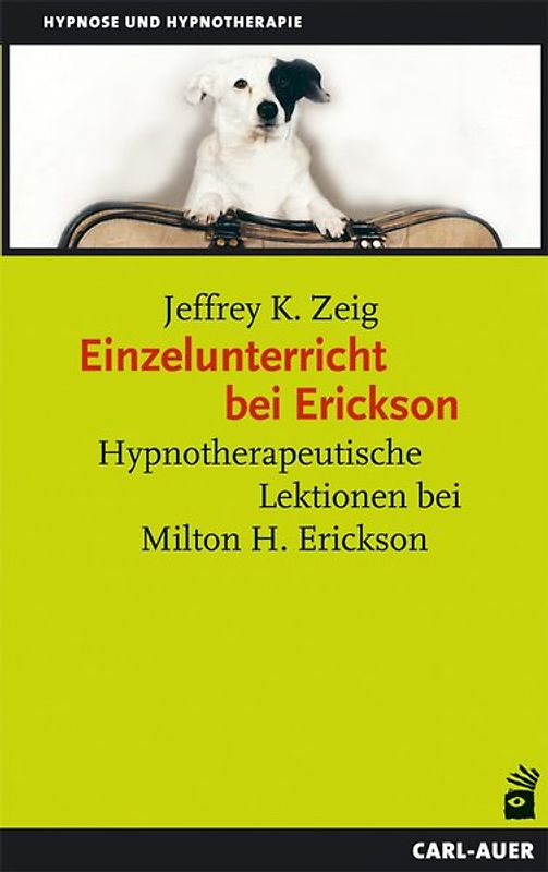 Einzelunterricht bei Erickson