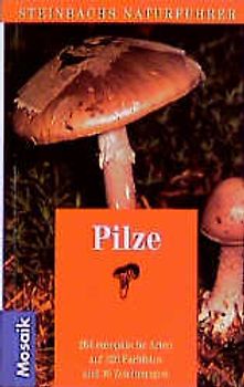 Pilze