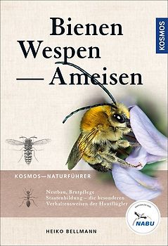 Bienen, Wespen, Ameisen