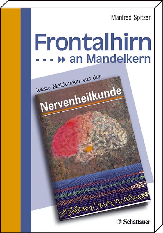 Frontalhirn an Mandelkern