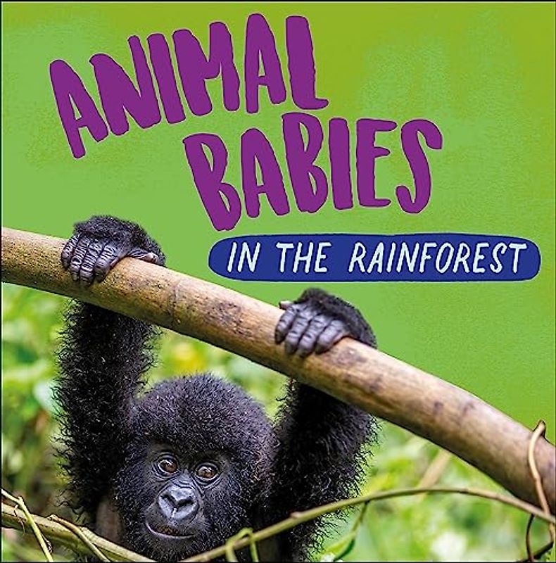 In the Rainforest (Animal Babies)