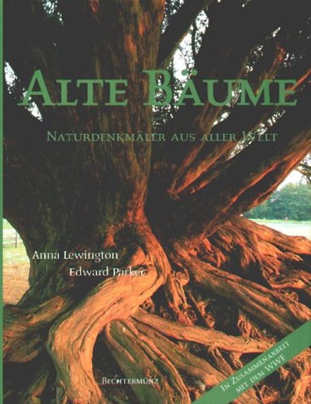 Alte Bäume