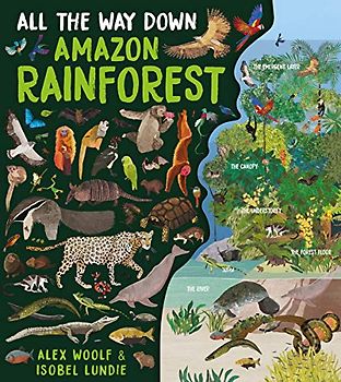 Rainforest (All the Way Down)