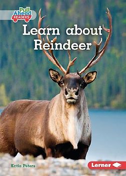 Learn about Reindeer