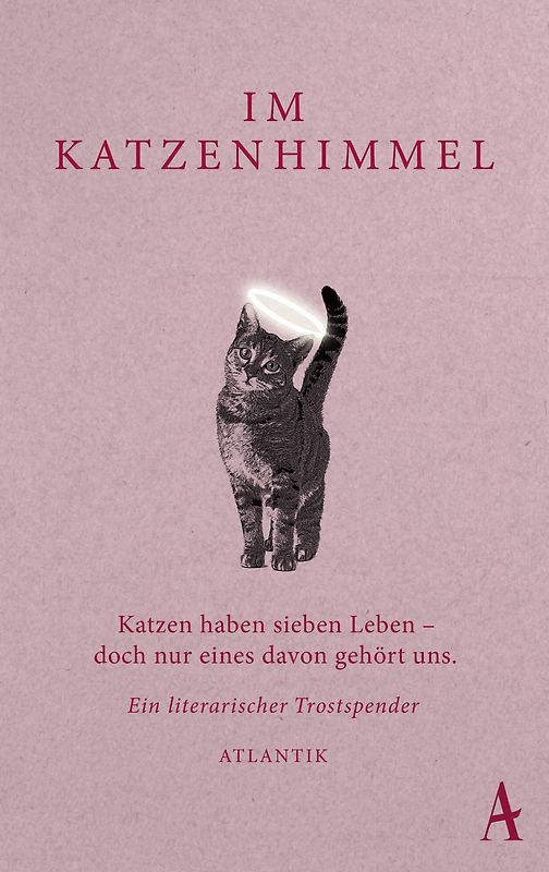 Im Katzenhimmel