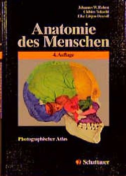 Anatomie des Menschen