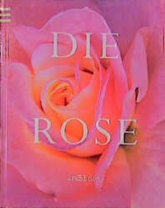 Die Rose