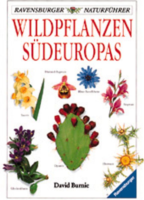 Wildpflanzen Südeuropas