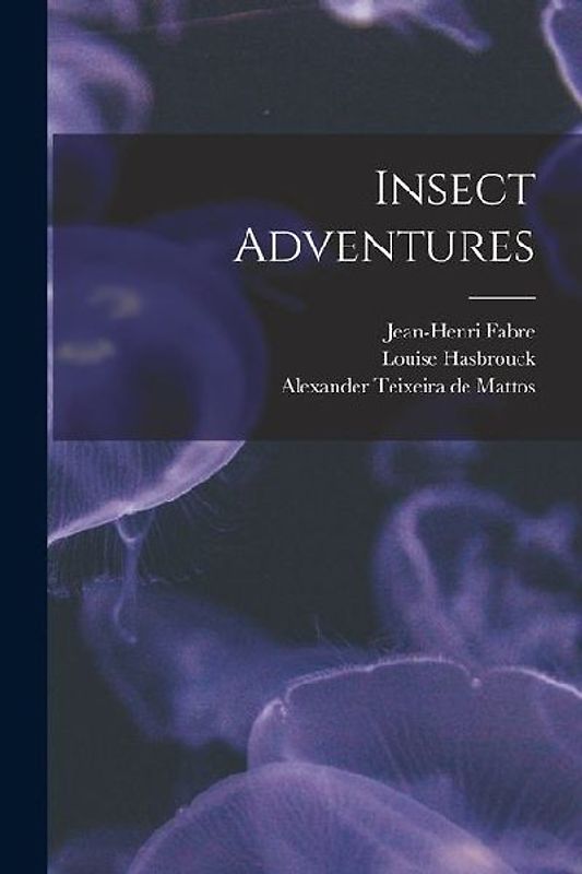 Insect Adventures