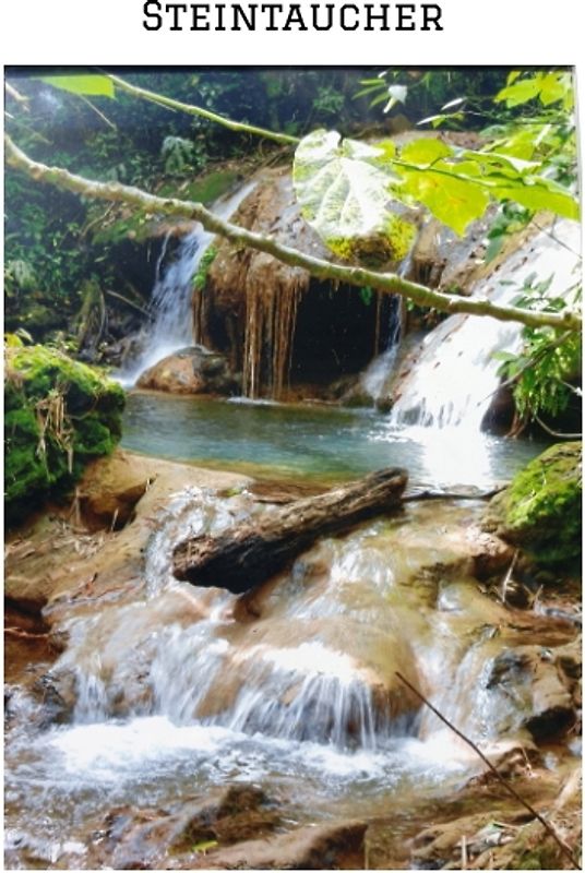 "STEINTAUCHER " Liebesdurstige Beobachtungen eines in die Jahre gekommenen Mannes. Gerade so,als hätte da jemand noch einmal seine Träume an das Firmament gehangen.