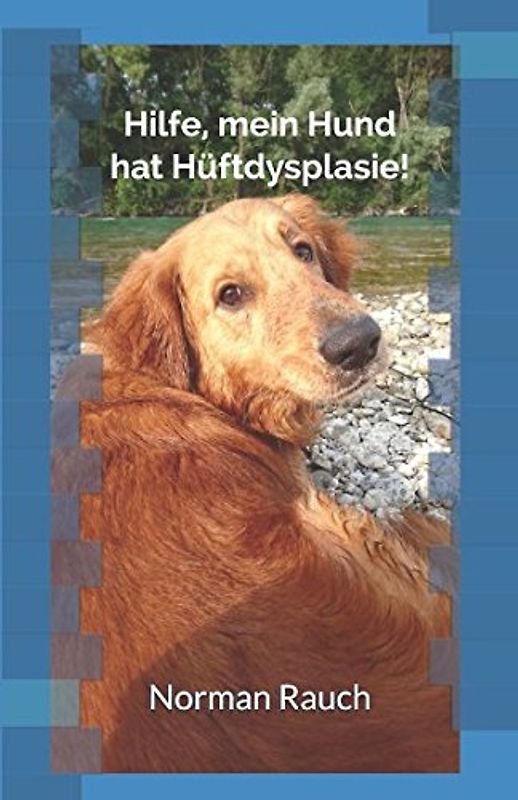 Hilfe, mein Hund hat Hüftdysplasie!