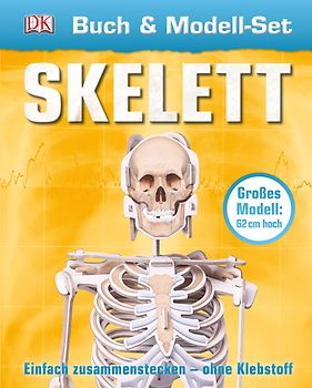 Buch & Modell-Set Skelett