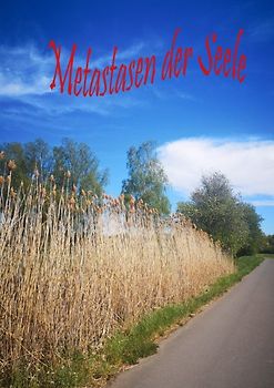 Metastasen der Seele / 2019