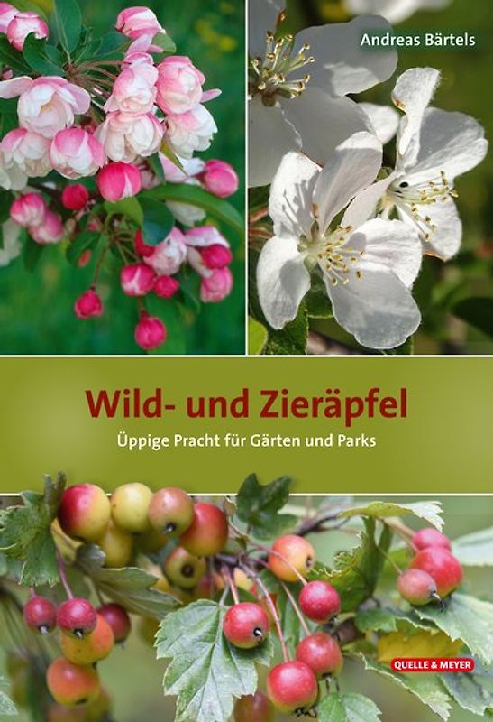 Wild- und Zieräpfel