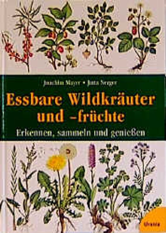 Essbare Wildkräuter und -früchte