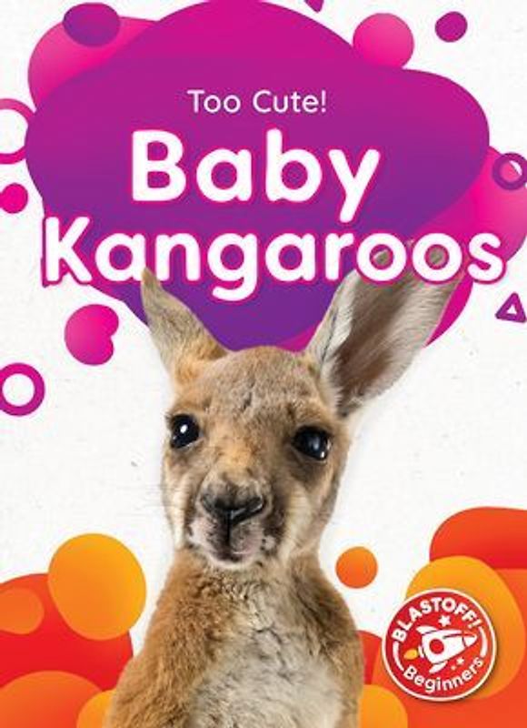 Baby Kangaroos