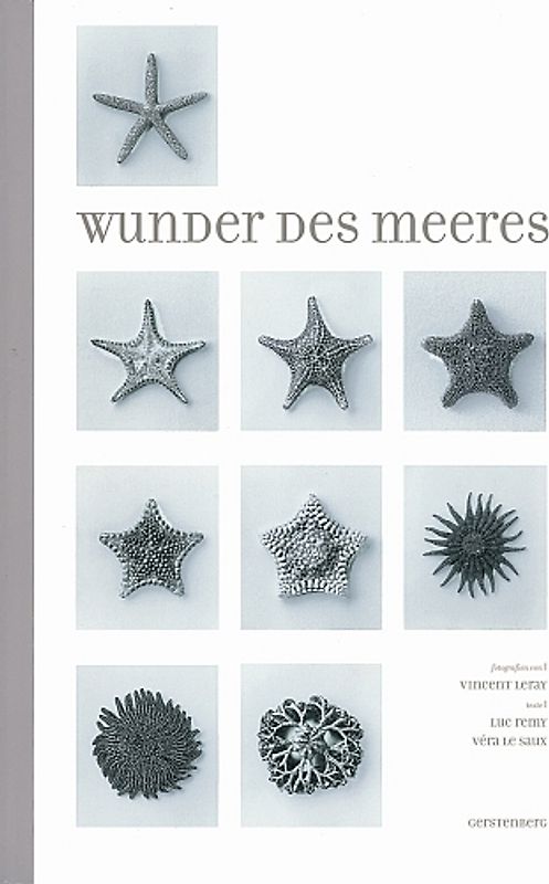 Wunder des Meeres