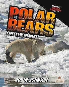 Polar Bears on the Hunt
