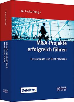 M&A-Projekte erfolgreich führen