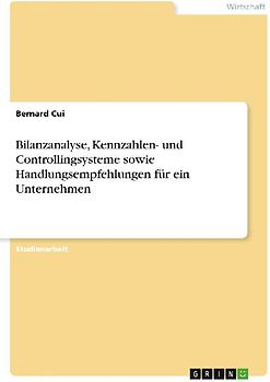 Bilanzanalyse, Kennzahlen- und Controllingsysteme sowie Handlungsempfehlungen für ein Unternehmen