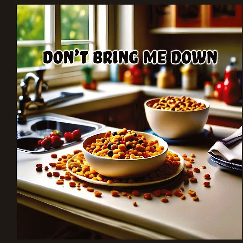 Don't Bring Me Down