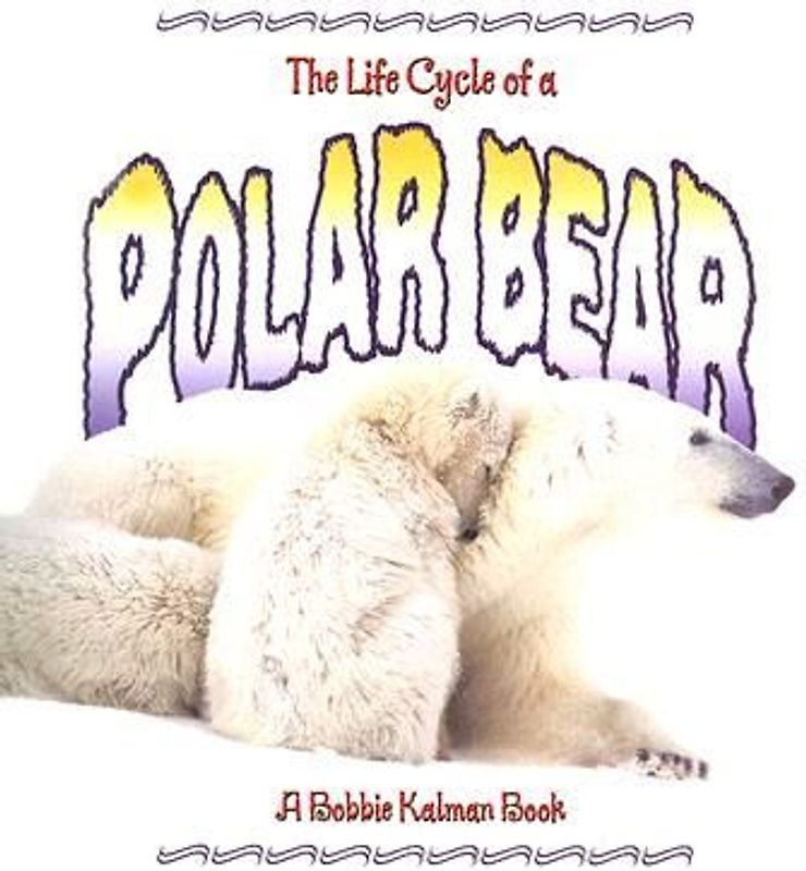 The Life Cycle of a Polar Bear