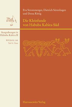 Die Kleinfunde von Habuba Kabira-Süd