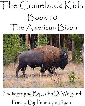 The Comeback Kids--Book 10--The American Bison