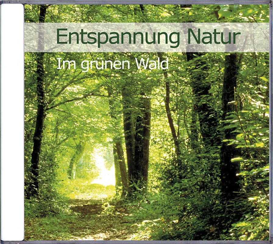Entspannung Natur - Im grünen Wald