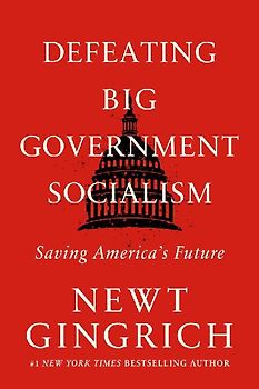 Defeating Big Government Socialism