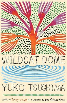 Wildcat Dome