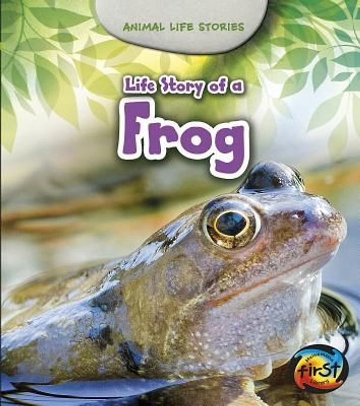 Life Story of a Frog