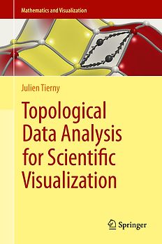 Topological Data Analysis for Scientific Visualization