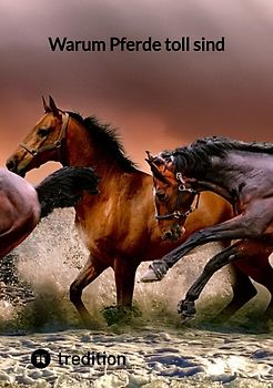 Warum Pferde toll sind