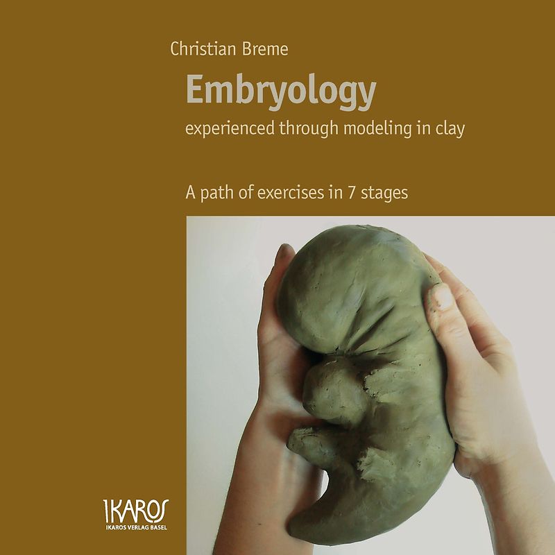 Embryology experienced through modeling in clay