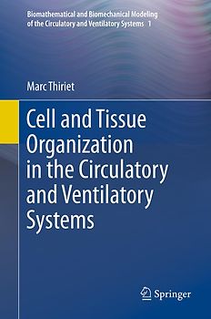 Cell and Tissue Organization in the Circulatory and Ventilatory Systems