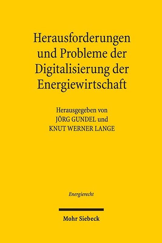 Herausforderungen und Probleme der Digitalisierung der Energiewirtschaft