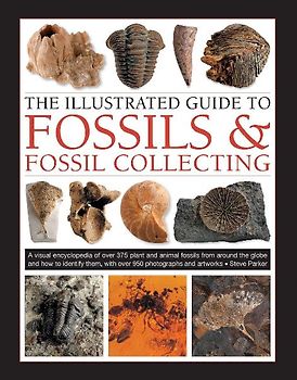 The Illustrated Guide to Fossils & Fossil Collecting