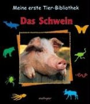 Das Schwein