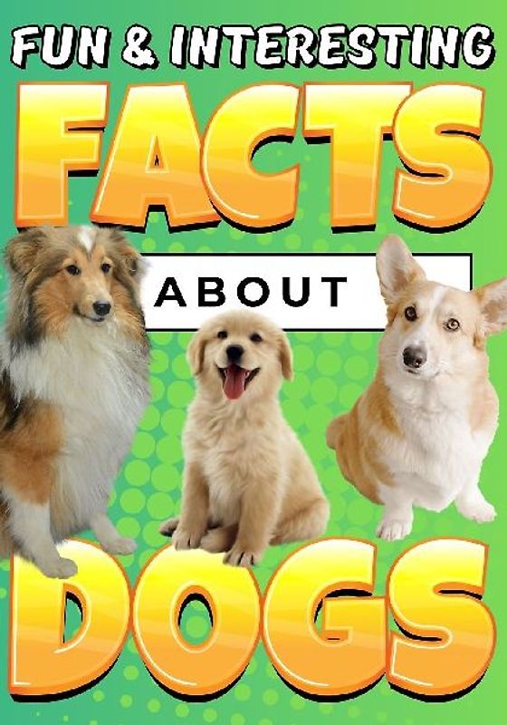 Fun & Interesting Facts About Dogs