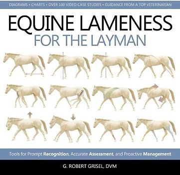 Equine Lameness for the Layman