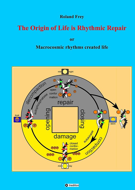 The origin of life is rhythmic repair or Macrocosmic rhythms created life