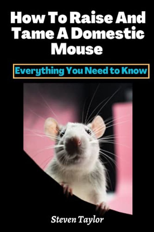 How To Raise And Tame A Domestic Mouse: Everything You Need to Know