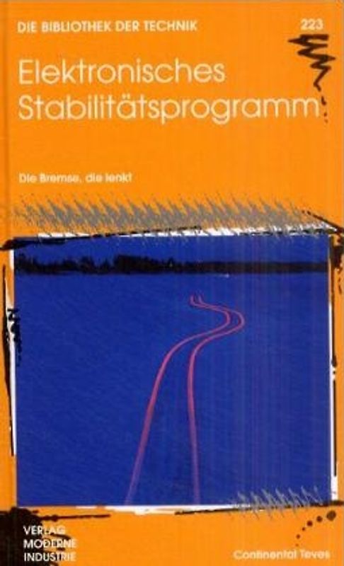 Elektronisches Stabilitätsprogramm