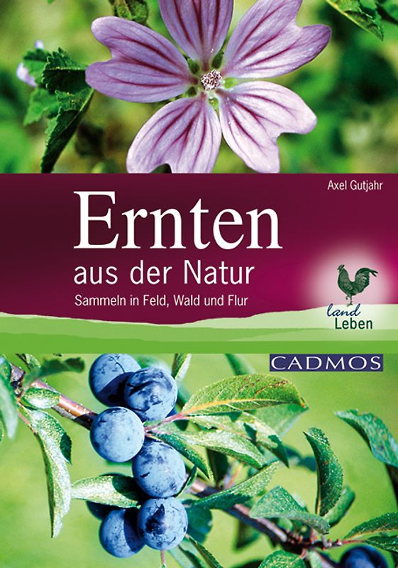 Ernten aus der Natur