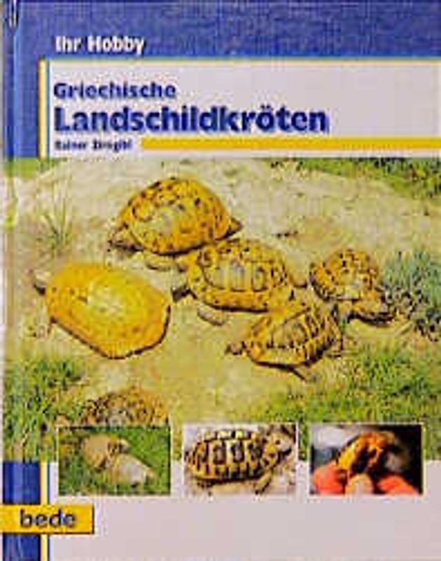 Ihr Hobby Griechische Landschildkröten