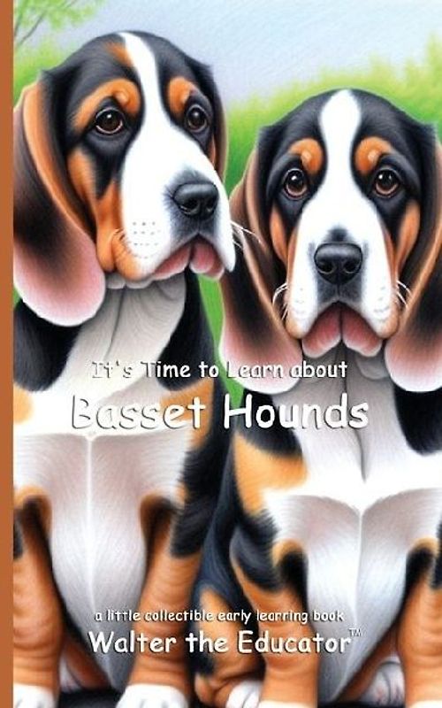 It's Time to Learn about Basset Hounds